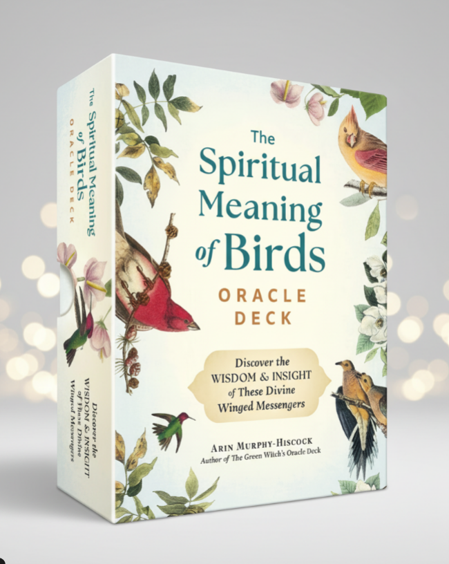 Box for 'The Spiritual Meaning of Birds' Oracle Deck with bird illustrations on a light gray background.
