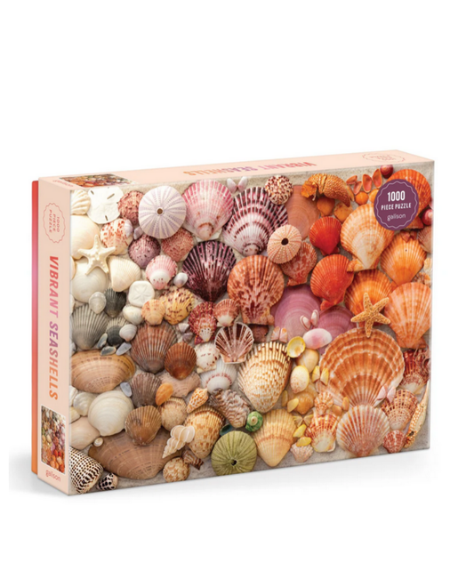 Vibrant Seashell Puzzle