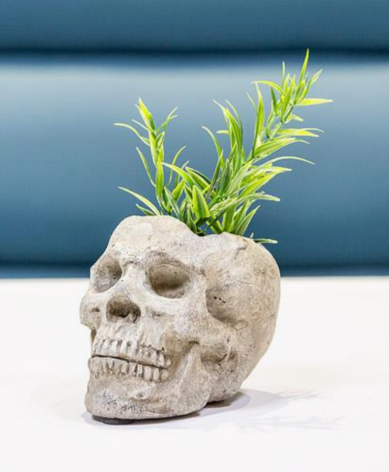 Small Skull Planter