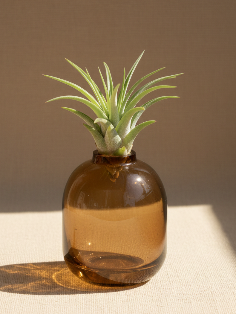 Amber Bud Vase