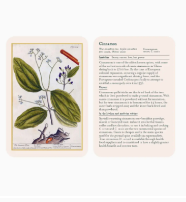 Healing Plants Cards