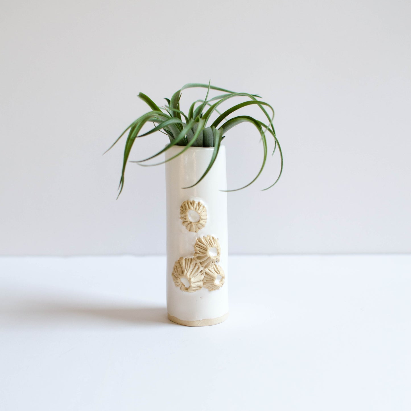 Barnacle Vases White handmade in Maine