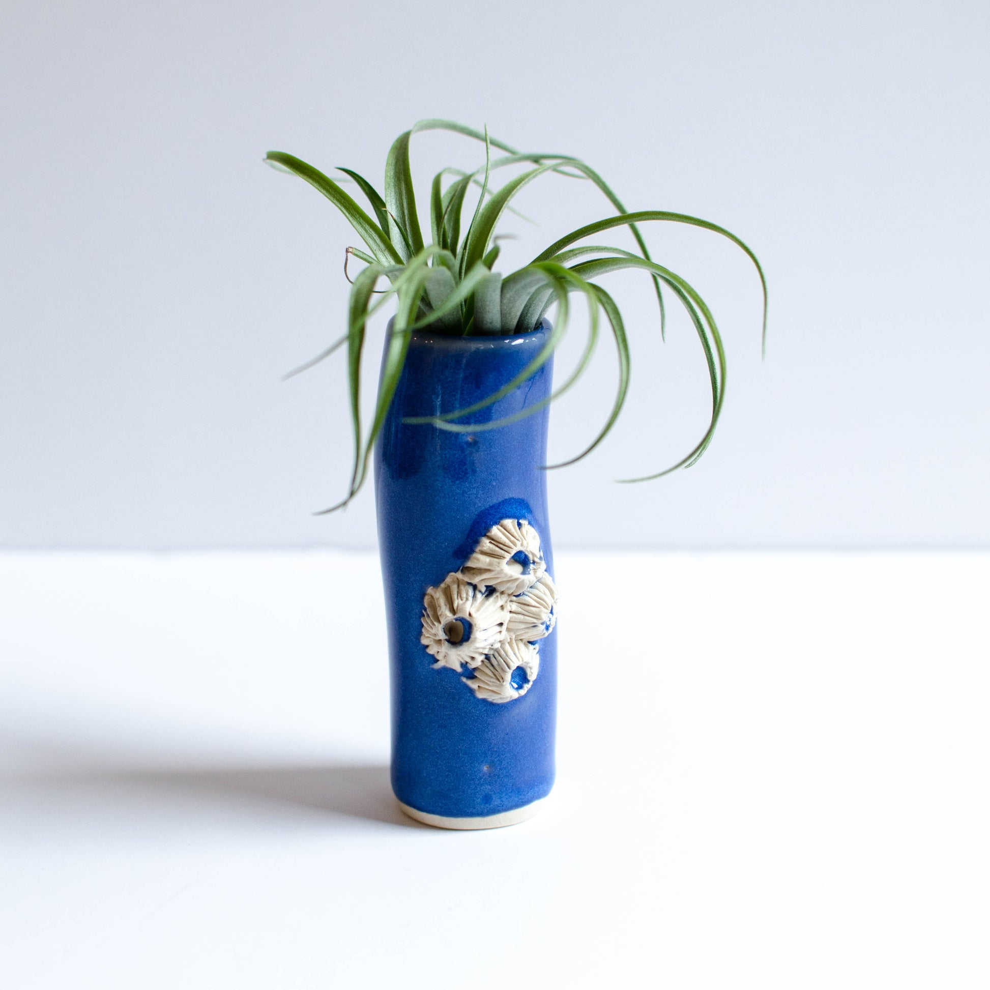 Barnacle Vases Blue handmade in Maine