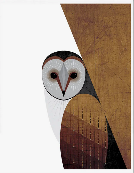 Graphic Design Barn Owl Print by Chhaya Shrader