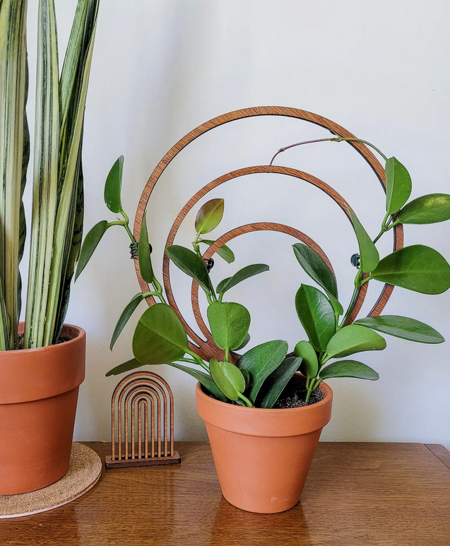 Indoor Plant Trellis Triple Hoop