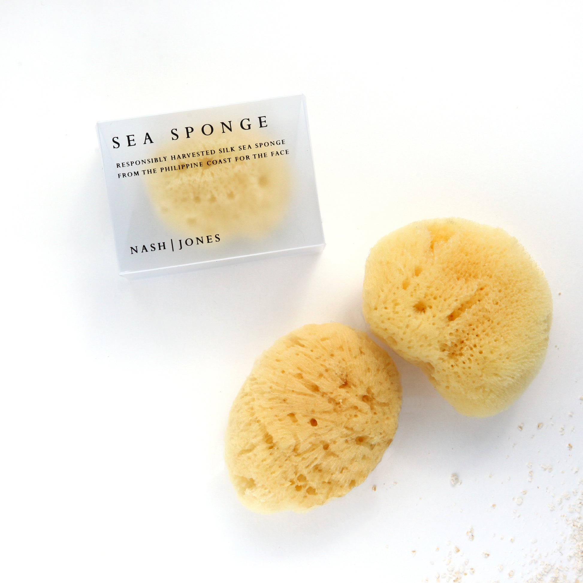 Sea Sponge by Nash Jones
