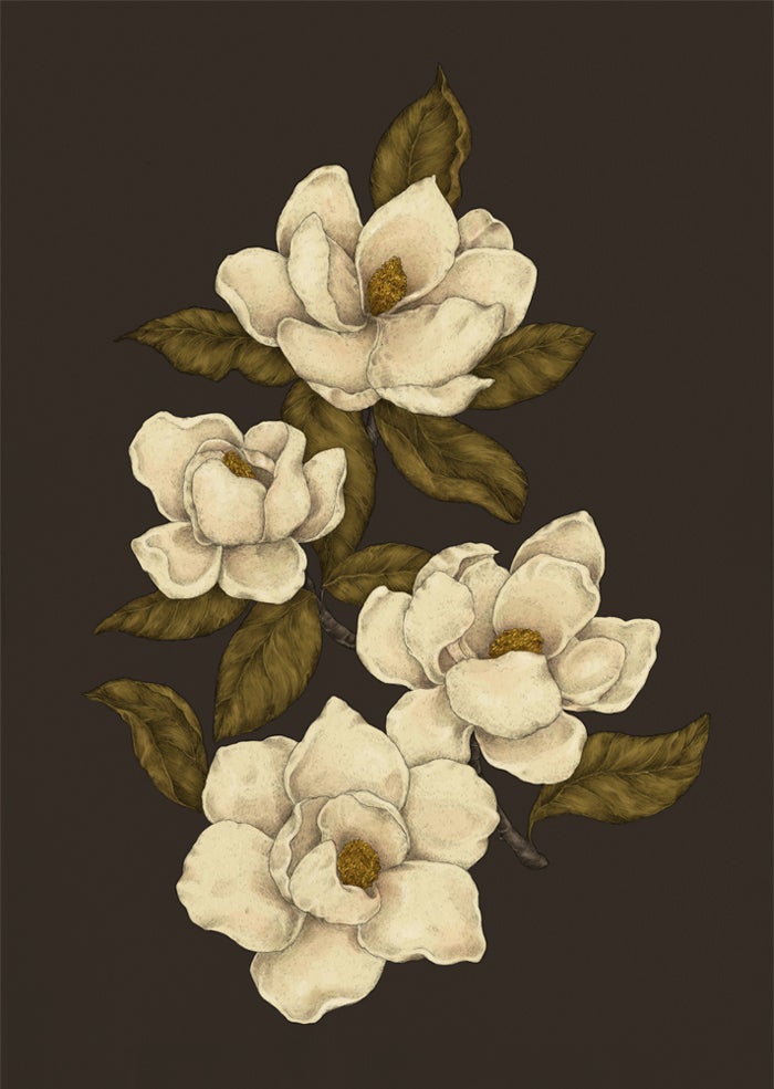 Jessica Roux Magnolias art print
