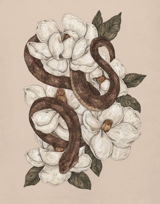 Archival giclee print of Snake and Magnolias, illustrated by Jessica Roux.