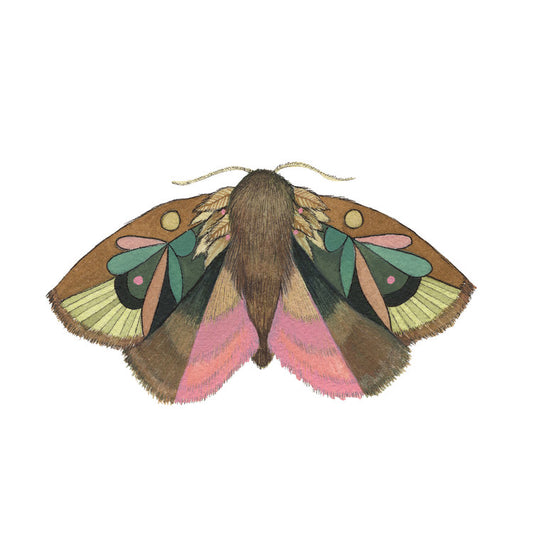 hand painted watercolor moth print